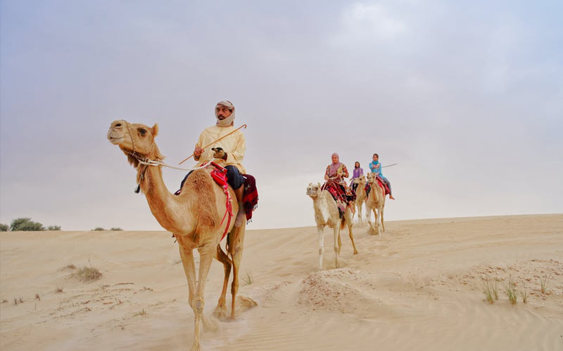 O que fazer em Dubai: dicas de passeios, curiosidades e tudo que você precisa saber 5 Homens andando de camelo no safari em Dubai