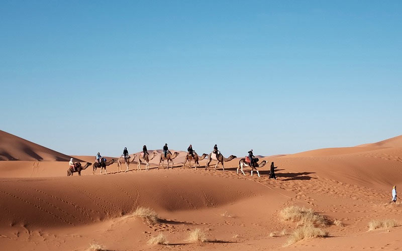 O que fazer no Egito: 10 atrações imperdíveis e dicas de viagem 4 Homens andando de camelo no White Desert