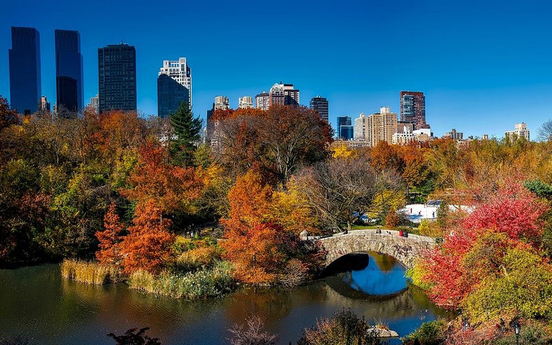 O que fazer em Nova York - Top 10 atrações na Big Apple 4 Central Park durante o dia em Nova York