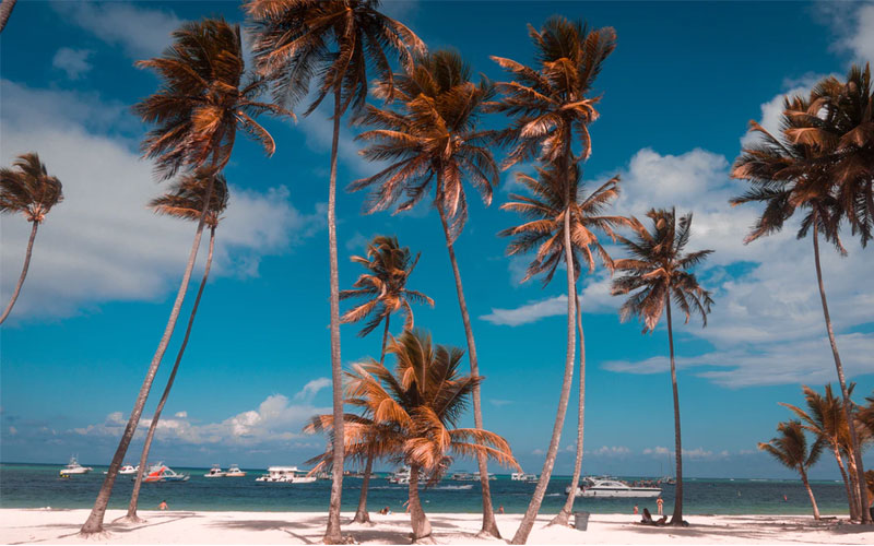 República Dominicana: o que fazer em Punta Cana 2 Coqueiros em praia