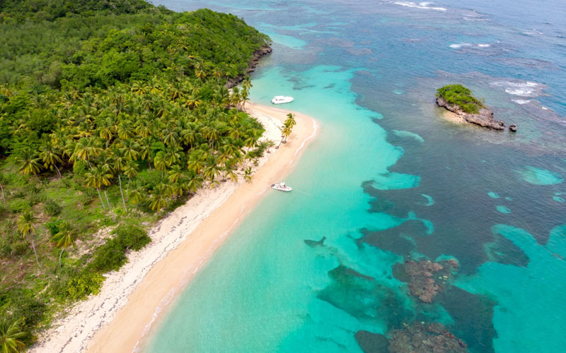 República Dominicana: o que fazer em Punta Cana 5 Vista aérea de árvores e região litoral na Republica dominicana.