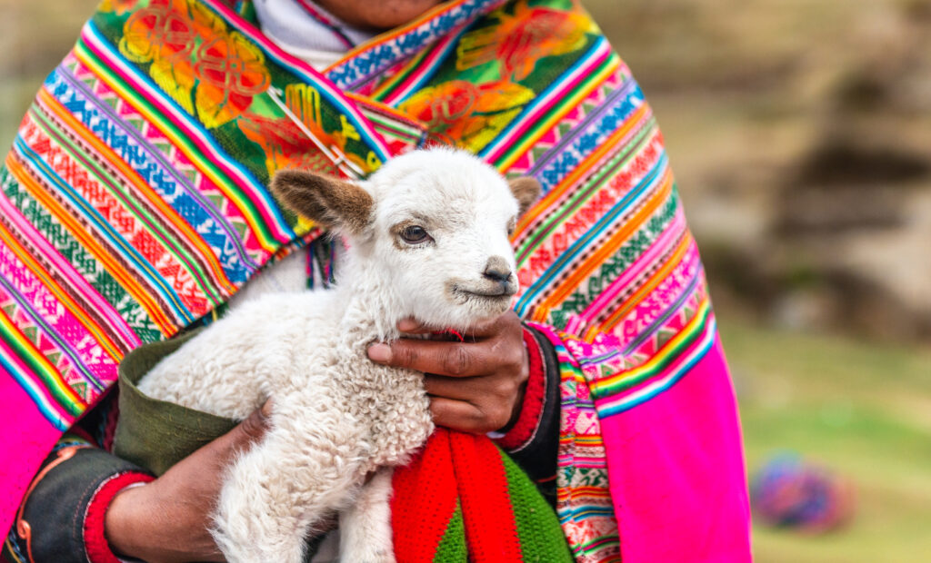 5 pontos turísticos que você precisa visitar no Peru 1 5 pontos turisticos – 5 pontos tur