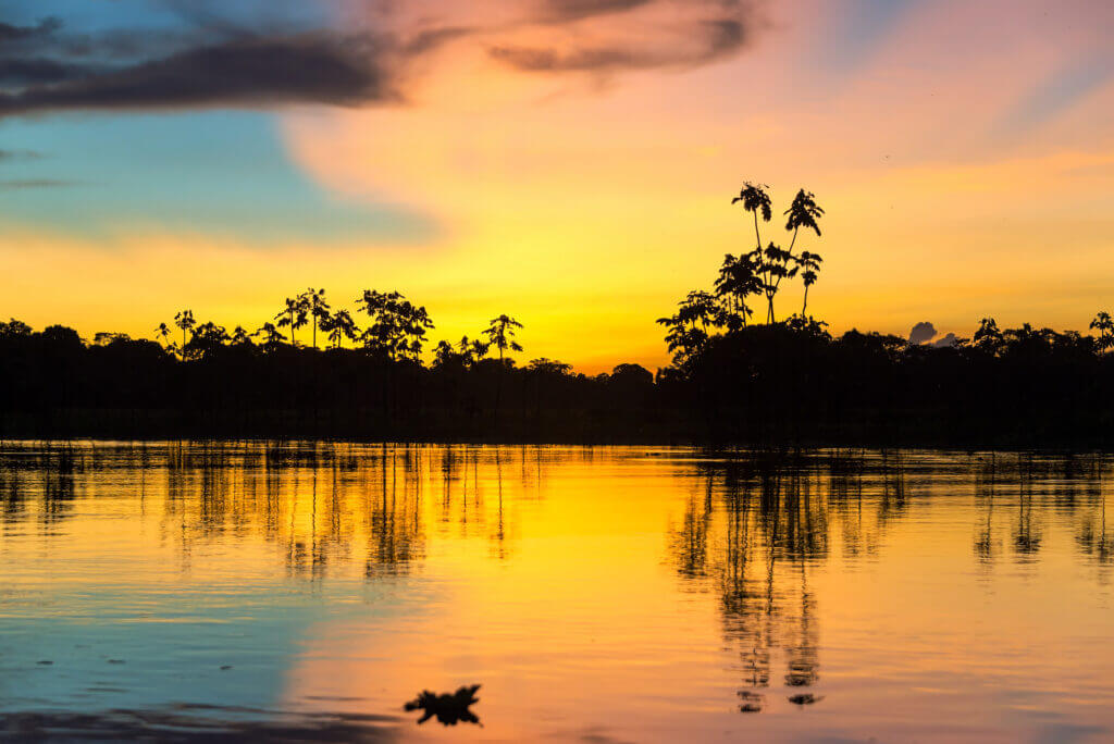 Amazônia: conhecendo de perto essa riqueza do Brasil 4 Amazonia – Amazônia,Gastronomia