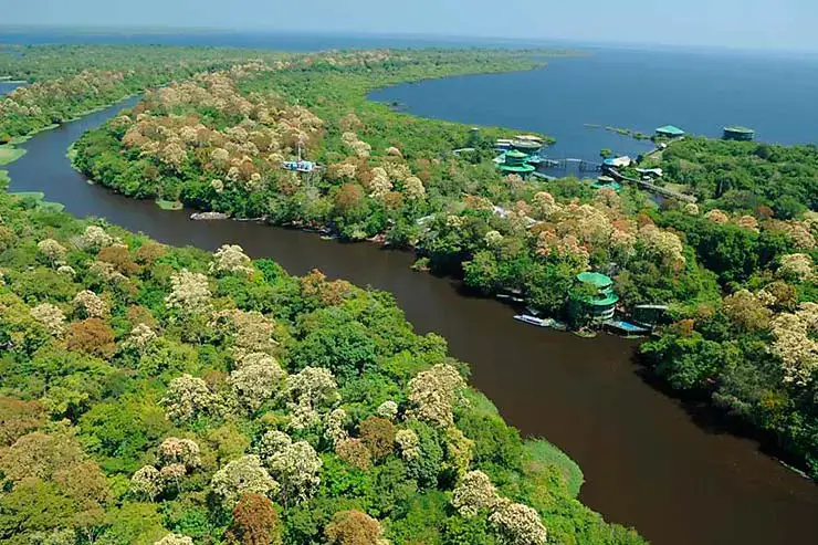 Amazônia: conhecendo de perto essa riqueza do Brasil 1 Viagem para Amazonia parque nacional anavilhanas – Amazônia,Gastronomia
