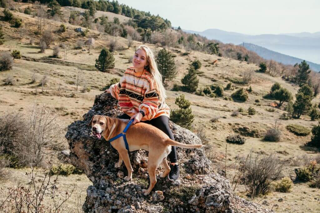 O que você precisa saber antes de embarcar com o seu pet 2 embarcar – embarcar,embarcar com o seu pet,pet