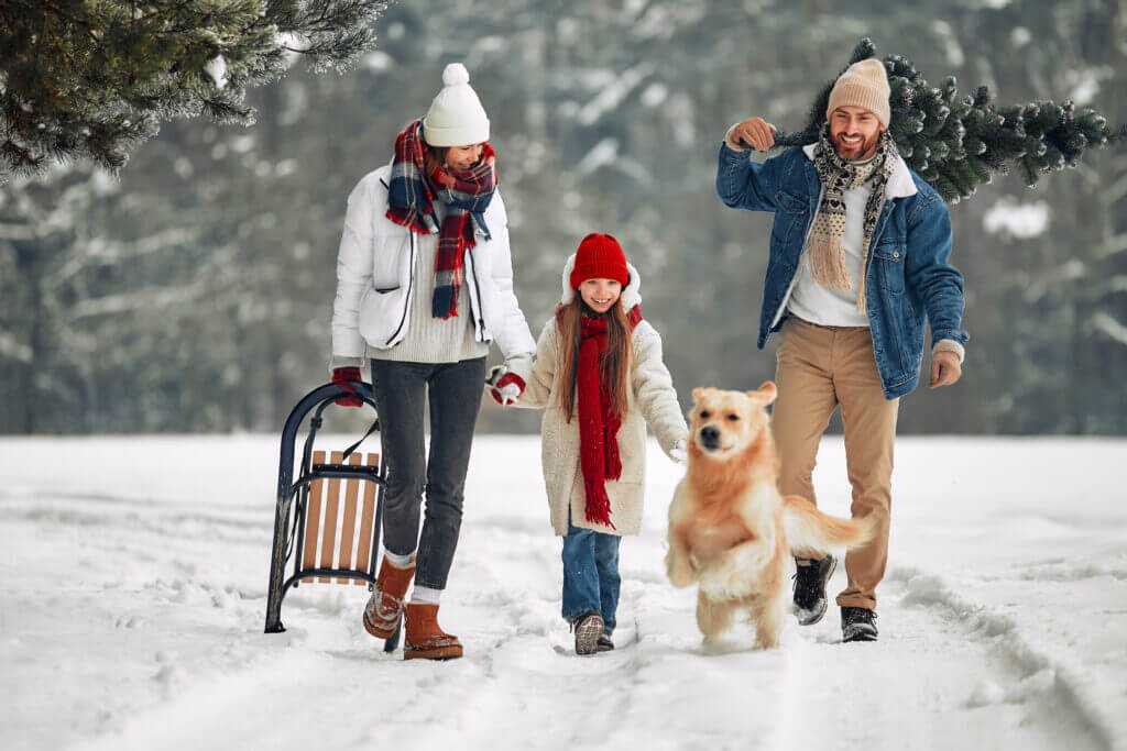 Lugares para não viajar no Réveillon 1 2 – Reveillon,ano novo,lugares para não