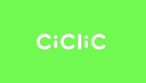Seguradoras 6 ciclic –