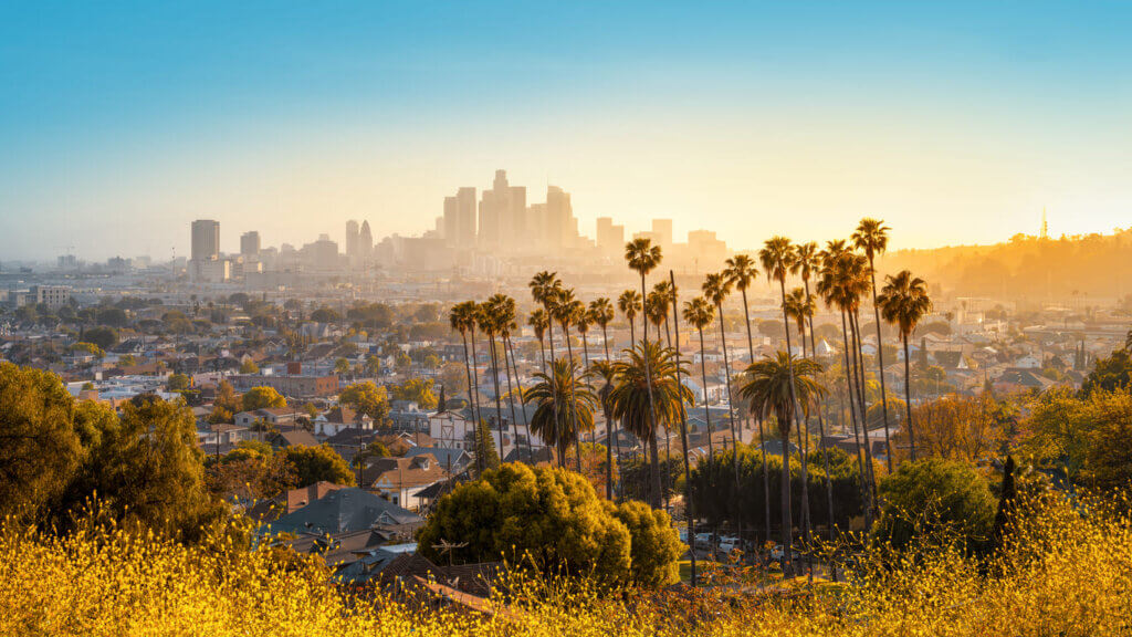 Paisagem urbana de Los Angeles ao entardecer, com prédios ao fundo e palmeiras ao foreground, destacando o clima ensolarado e a vista panorâmica da cidade.