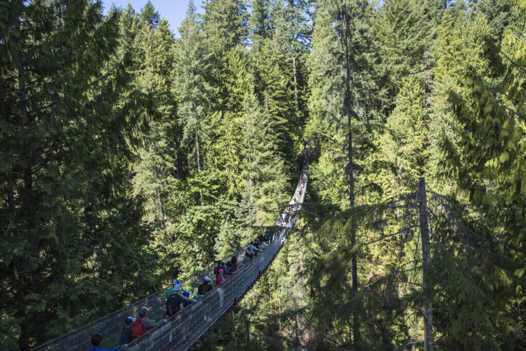 Copa do Mundo 2026 em Vancouver: guia completo para assistir aos jogos no BC Place 4 Pessoas andando na Capilano Suspension Bridge Park